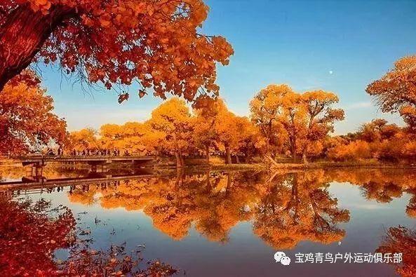 全民剧本大师内置菜单