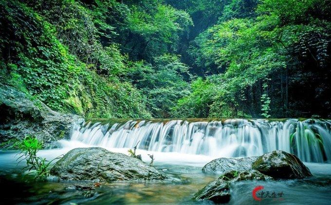 脑洞小老弟无实名认证