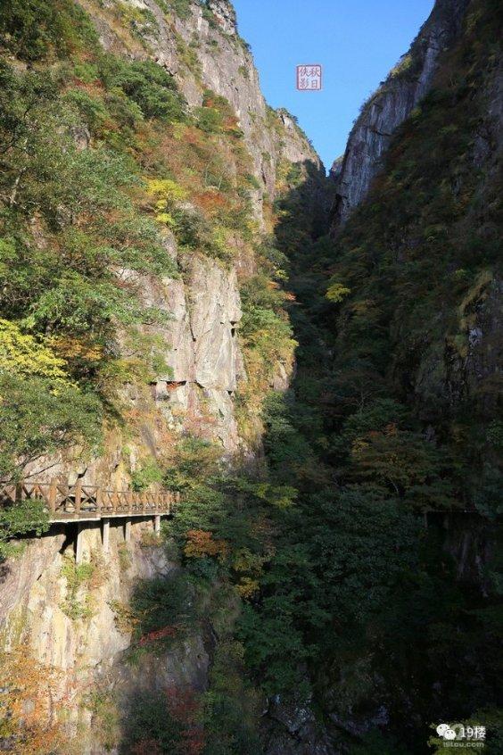 给湖南经济上分丨刘志忠:打造长沙国际消费中心城市
