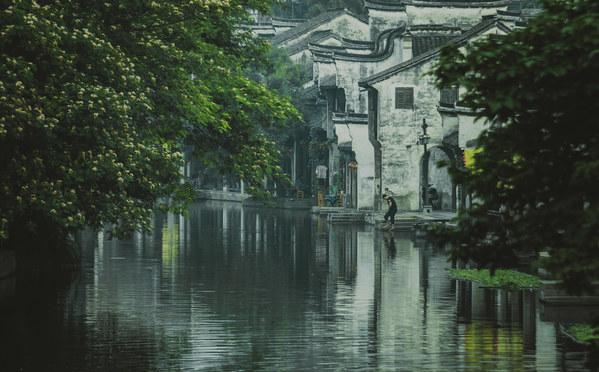 窝小芽口碑怎么样?这样的营养创新,妈妈们怎能不爱?