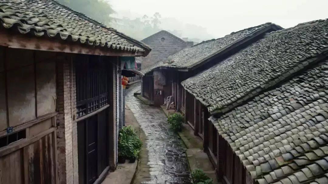救援瓢虫宝宝