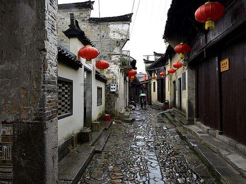 呆萌动物对对碰